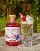 Gin and tonic with Berkshire Botanical Rhubarb and Raspberry Gin